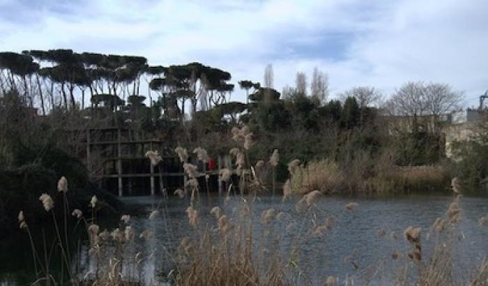 Ex Snia, concerto per un lago nel parco