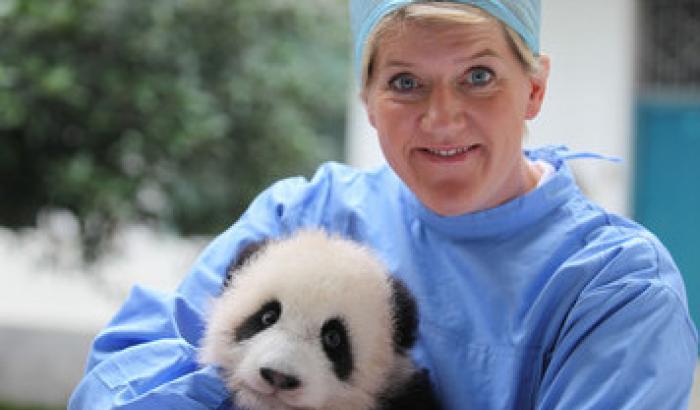 Operation wild: animalisti e veterinari raccontati in tv dalla Bbc