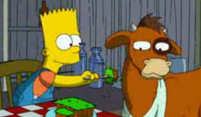 Il creatore dei Simpson salva Benjy, il toro gay