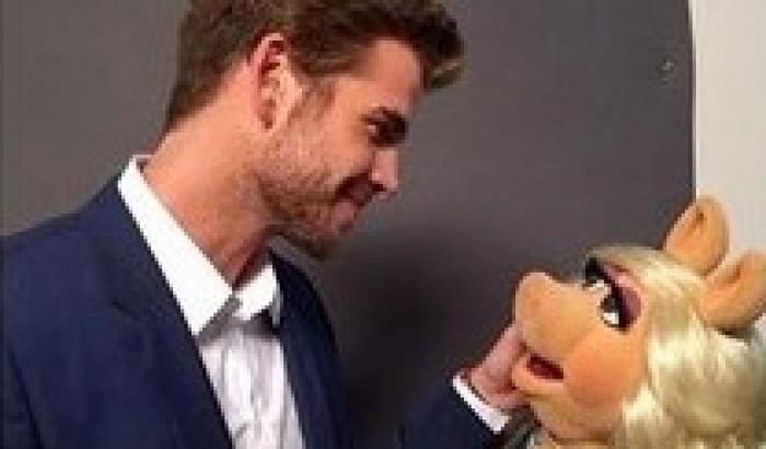 Dopo il divorzio da Kermit, Miss Piggy si consola con Liam Hemsworth