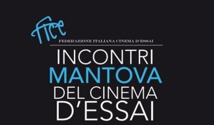 Incontri del Cinema d'Essai: la XV edizione presentata a Mantova