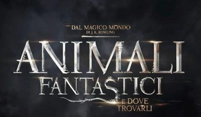 Animali Fantastici e Dove Trovarli, ecco il nuovo video