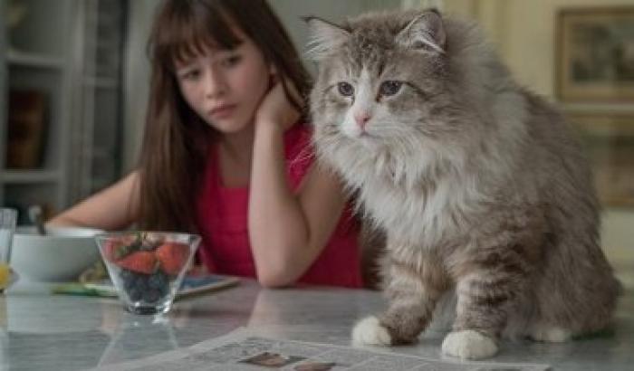 A dicembre in sala arriva Una vita da gatto con Kevin Spacey