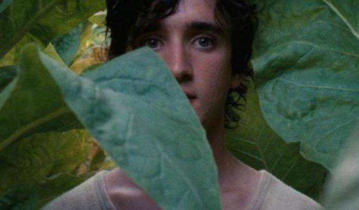 Cannes, 10 minuti di applausi per 'Lazzaro Felice' di Alice Rohrwacher