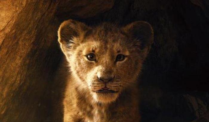 Ecco il trailer de Il Re Leone in live action. Simba torna a far sognare