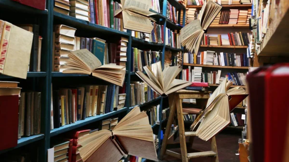 Le librerie arrancano, il 2025 sarà un altro anno grigio