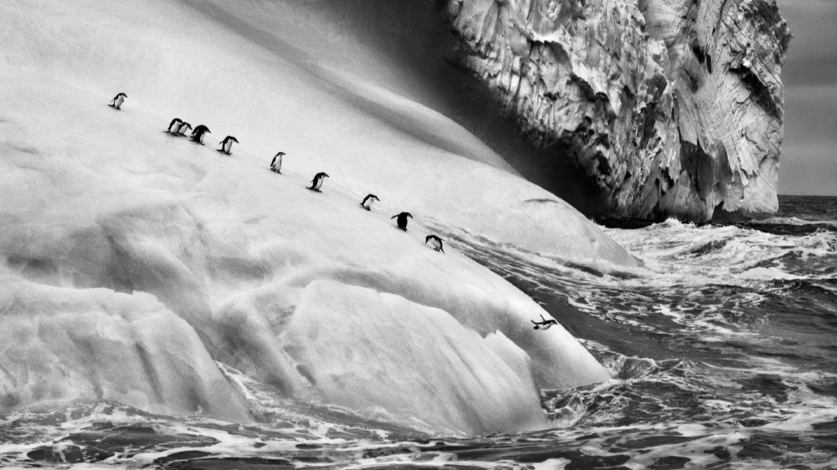Sebastião Salgado e i ghiacciai morenti