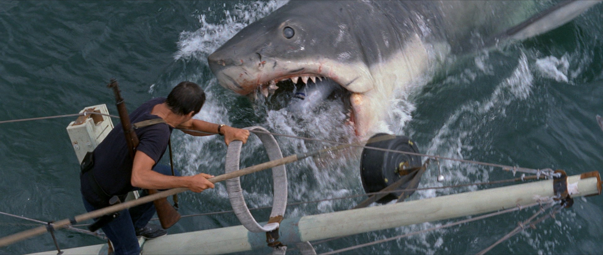 Cinquant’anni fa usciva "Lo squalo", pietra miliare del cinema