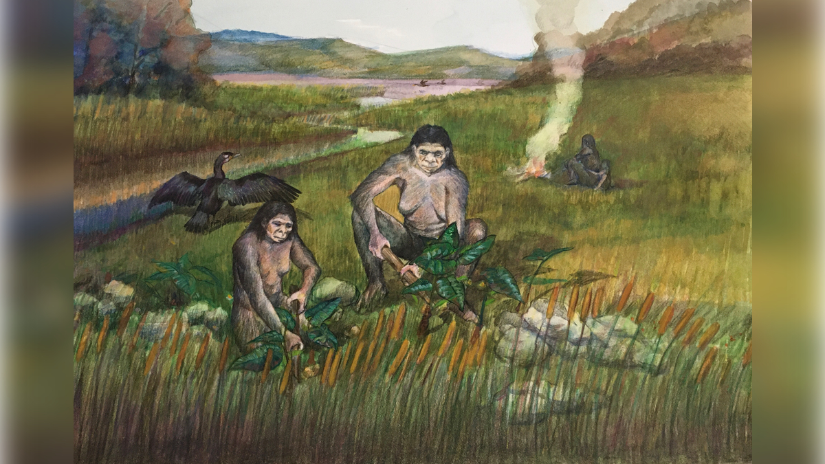 La prima tecnologia preistorica scoperta nel sito di Gantangqing