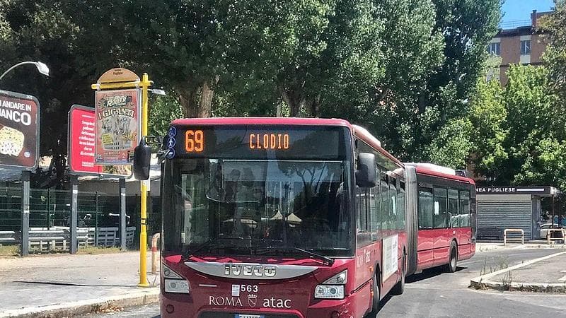 183119451-91fd2cdb-e6ec-476b-a67d-ad3ed73d58f2 Il caldo è più sopportabile alle fermate dell’autobus più belle