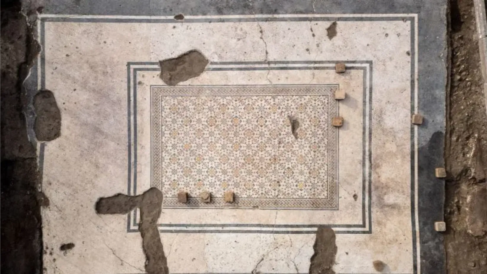 mosaico-tappeto-fiorito-aquileia-Bergomas-777×437 Il mosaico del “tappeto fiorito" sarà finalmente visibile