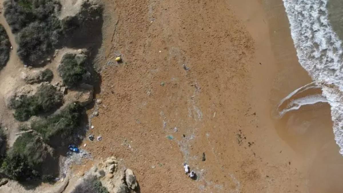 'Maestri', il progetto per monitorare il mare più inquinato del mondo: il Mediterraneo Fonte: ansa.it