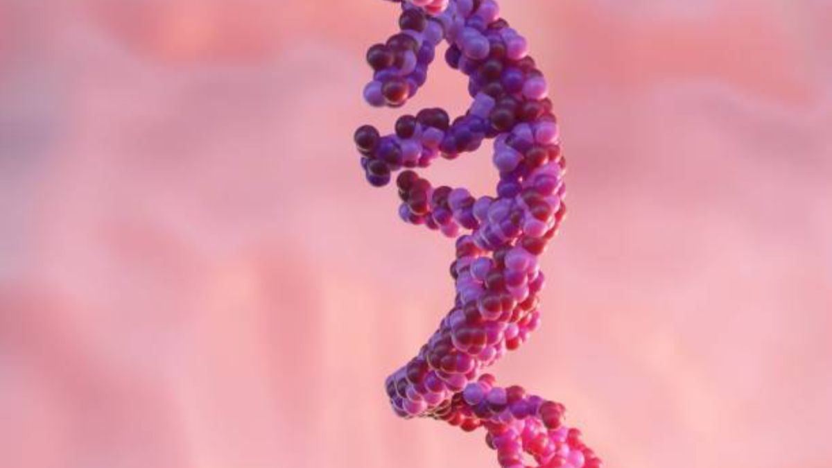 Genetica e longevità: una nuova scoperta